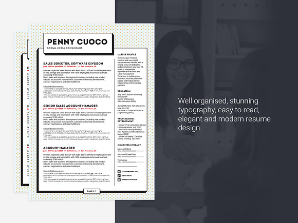 Resume Template Zonje in Resume Templates - product preview 3