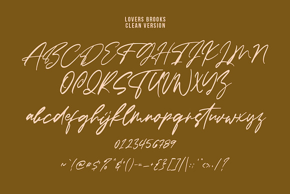 Lovers Brooks SVG Brush Font Sans in Display Fonts - product preview 4