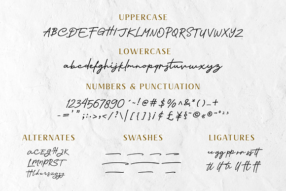 Nagietha - Handwritten Font in Script Fonts - product preview 9