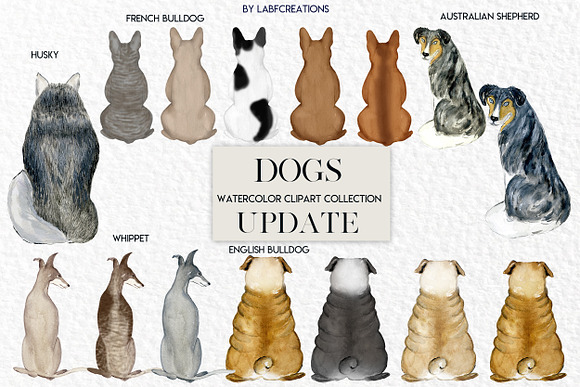 Dogs watercolor. Backs of dog in Illustrations - product preview 6
