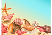 Background with seashells. Tropical