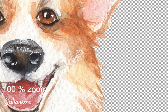 Corgi. Dog and pattern in Illustrations - product preview 1