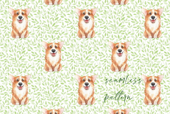 Corgi. Dog and pattern in Illustrations - product preview 2