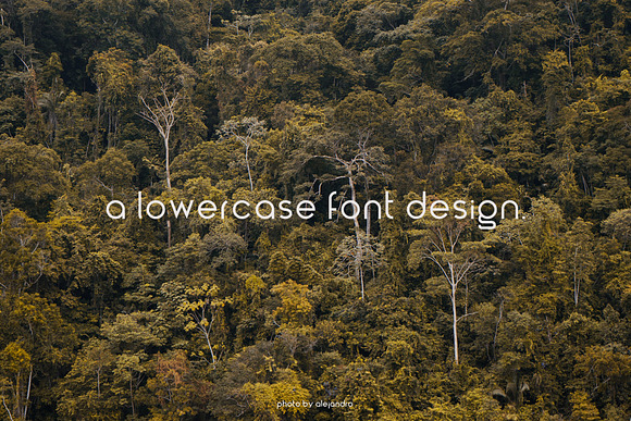 font package - globe & solar in Sans-Serif Fonts - product preview 4