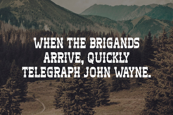 Brigand Typeface in Slab Serif Fonts - product preview 2