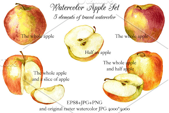 Watercolor apple set in Illustrations - product preview 1