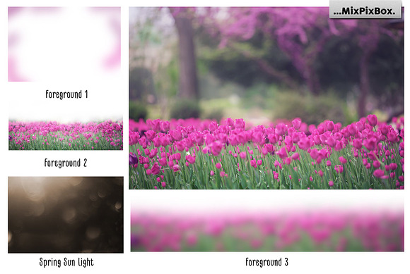 Spring Tulips Backdrop in Add-Ons - product preview 1