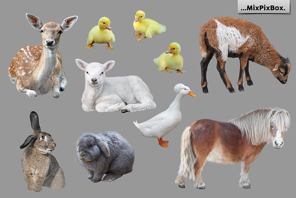 Spring Backdrop + Animals in Add-Ons - product preview 1