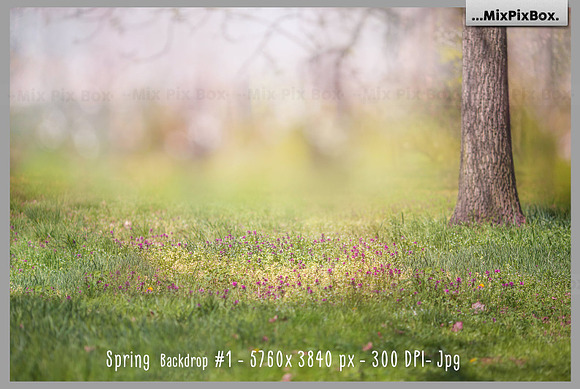 Spring Backdrop + Animals in Add-Ons - product preview 2