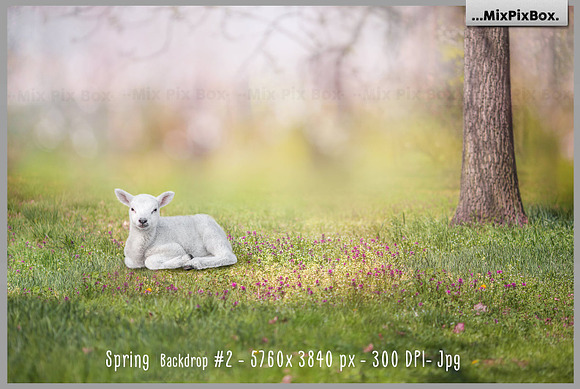 Spring Backdrop + Animals in Add-Ons - product preview 3
