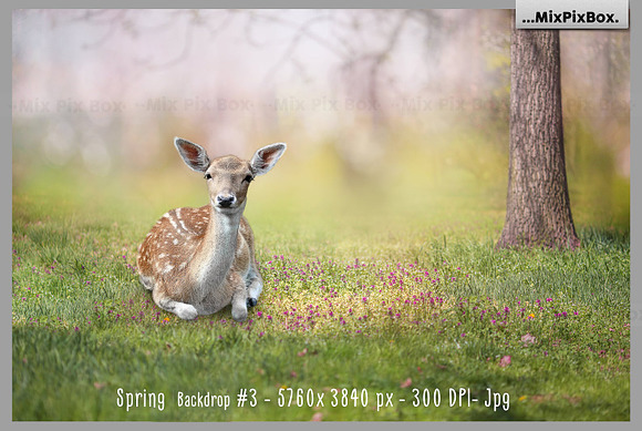 Spring Backdrop + Animals in Add-Ons - product preview 4
