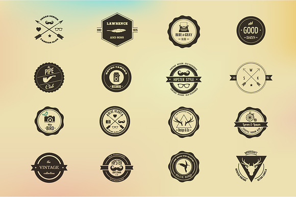 Hipster Icons / Badge / Insignia in Logo Templates - product preview 1