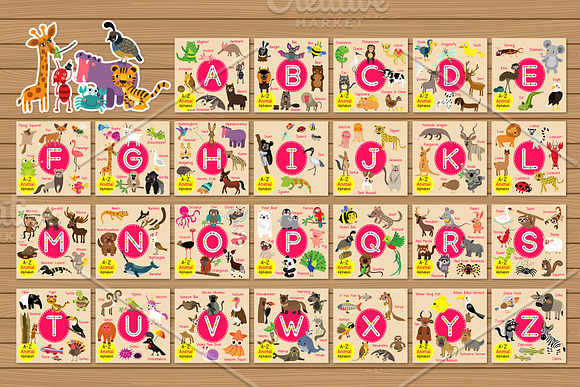 ABC animal vocabulary flash cards in Illustrations - product preview 3