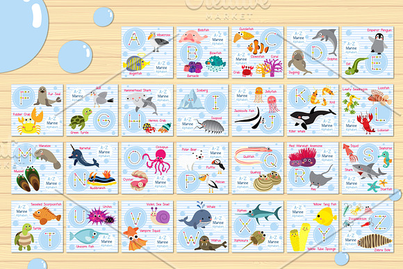 ABC marine vocabulary flash cards in Illustrations - product preview 2