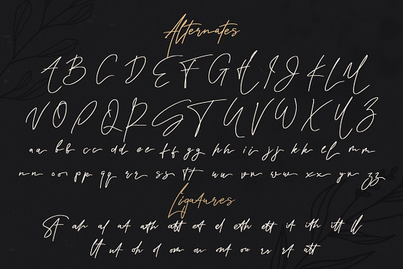 Rindu Alam - Signature Script Font in Script Fonts - product preview 14