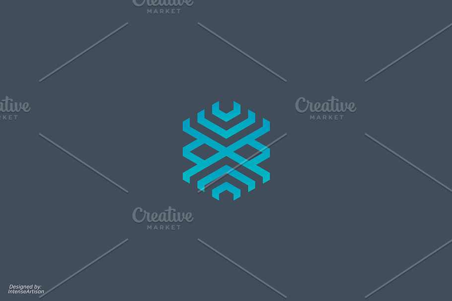 Secure Hexagon Logo in Logo Templates - product preview 8