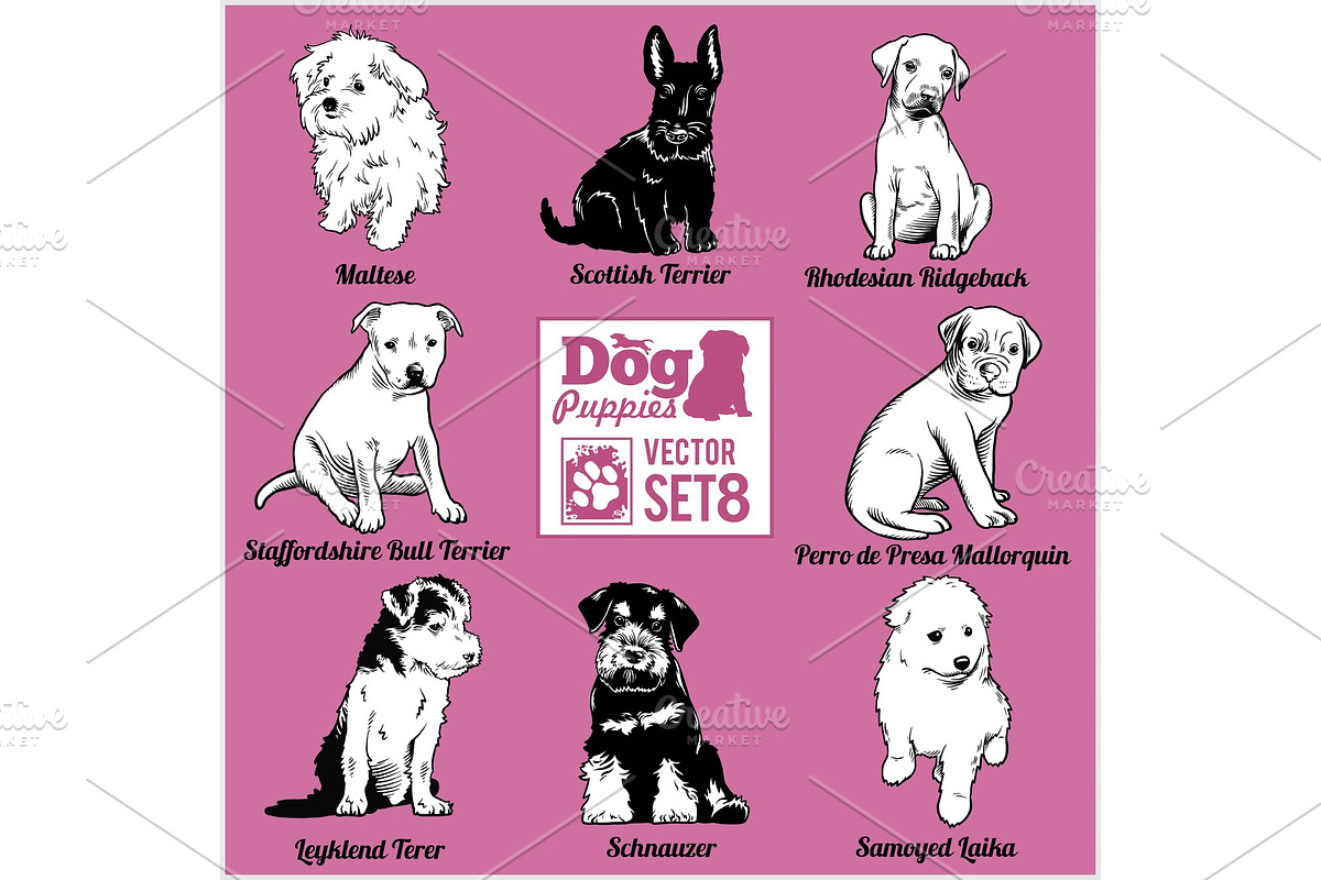 Dog Puppies - Vector set. Funny dogs in Illustrations - product preview 8