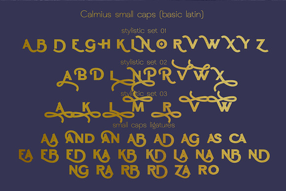 Calmius Sans in Sans-Serif Fonts - product preview 6