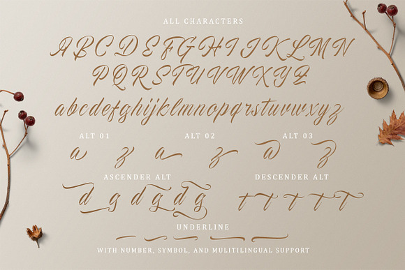 The Proactive Script in Script Fonts - product preview 8