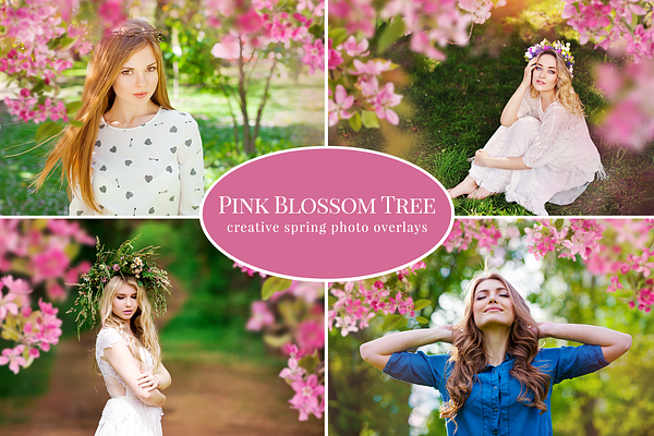 Pink Blossom Tree photo overlays