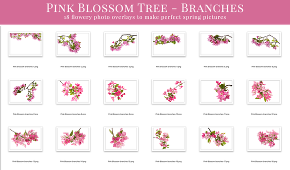Pink Blossom Tree photo overlays in Add-Ons - product preview 5