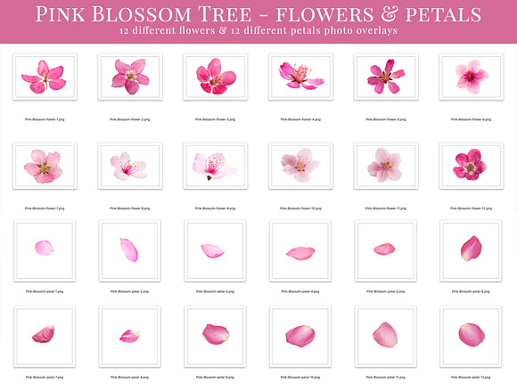 Pink Blossom Tree photo overlays in Add-Ons - product preview 6