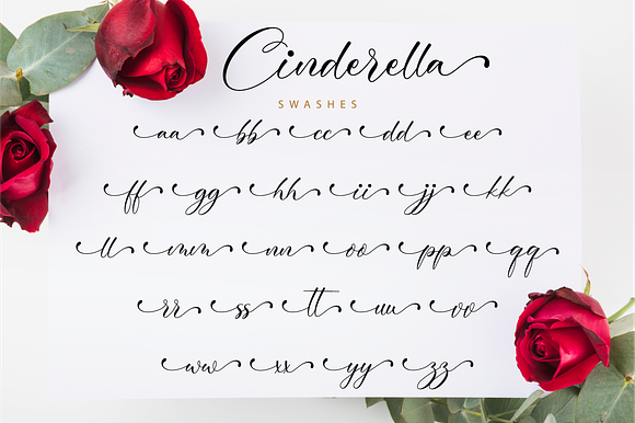 Cinderella Script in Script Fonts - product preview 10