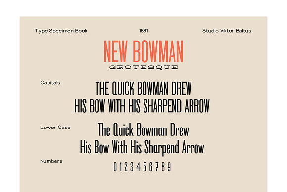 New Bowman (+webfonts) in Display Fonts - product preview 3