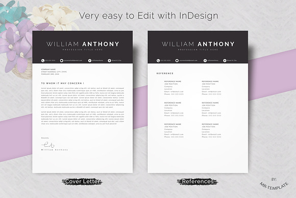 Resume in Letter Templates - product preview 2
