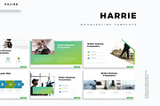 Harrie - Google Slide Template