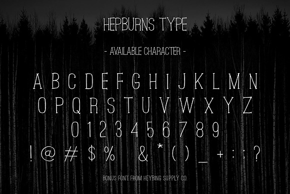 Northshire Script + Extras (Sale) in Christmas Fonts - product preview 7