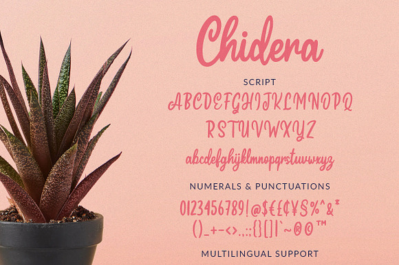 Chidera Script & Sans in Script Fonts - product preview 8