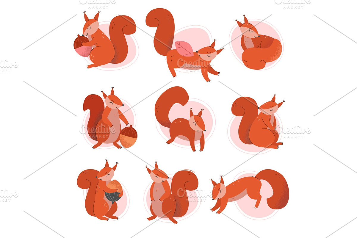 Cute Squirrel Animal Sitting and in Illustrations - product preview 8
