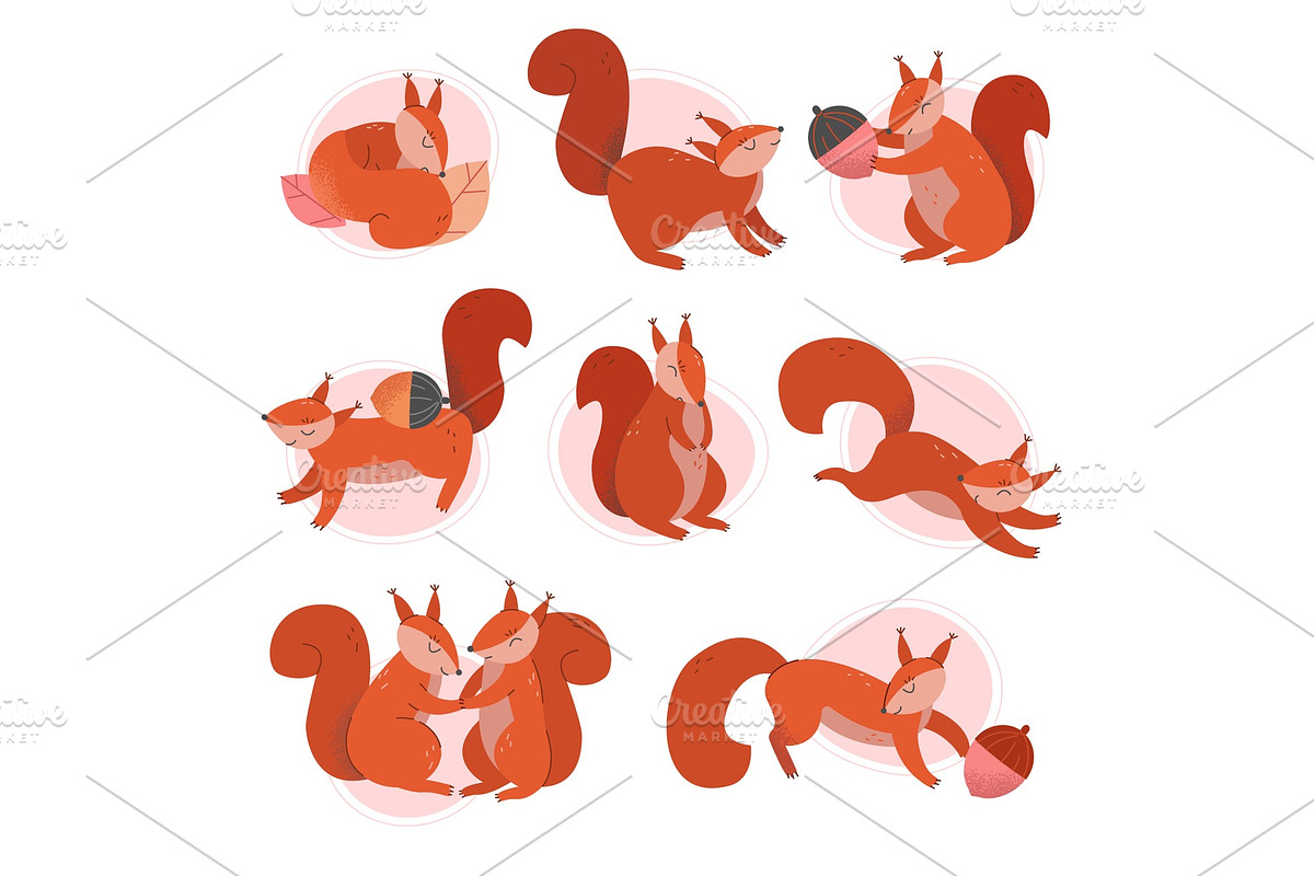 Cute Squirrel Animal Sitting and in Illustrations - product preview 8