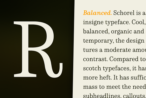 Schorel in Serif Fonts - product preview 2