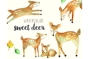 Sweet Deer Watercolor Set