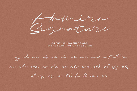 Hamira - Signature Brush Font in Script Fonts - product preview 13