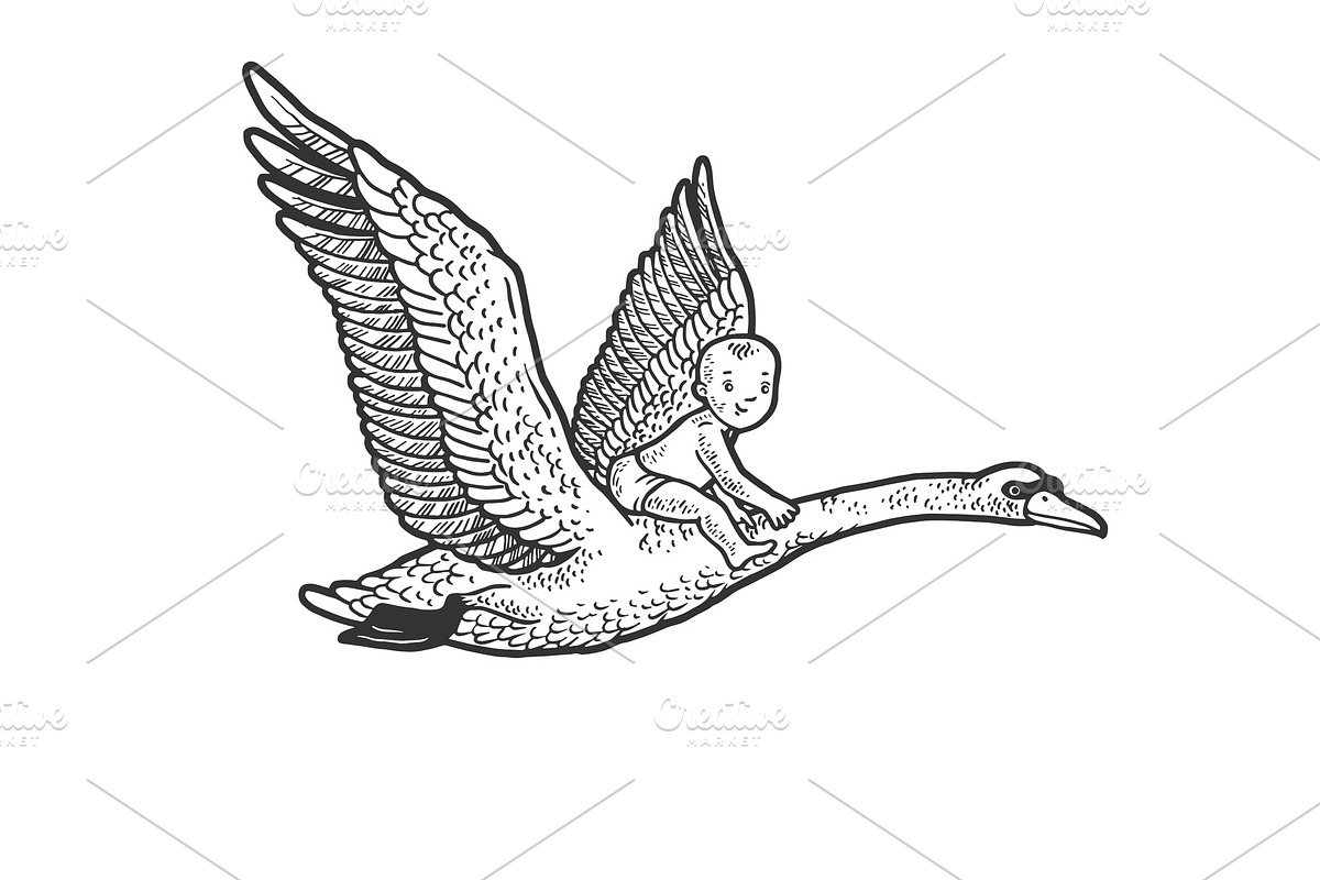 baby flying by swan sketch vector in Illustrations - product preview 8