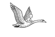 baby flying by swan sketch vector