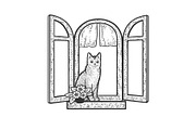 Cat in windows sketch vector