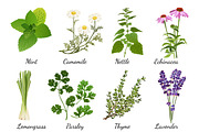 Herbs and wildflowers icons set