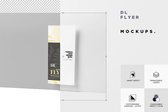 DL Size Vertical Flyer Mock Ups in Branding Mockups - product preview 5