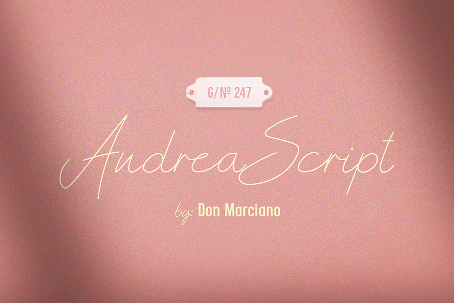 Andrea Script Thin Font in Script Fonts - product preview 8