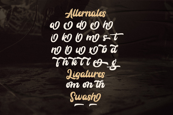 Rayhue - Retro Bold Script Font in Script Fonts - product preview 14