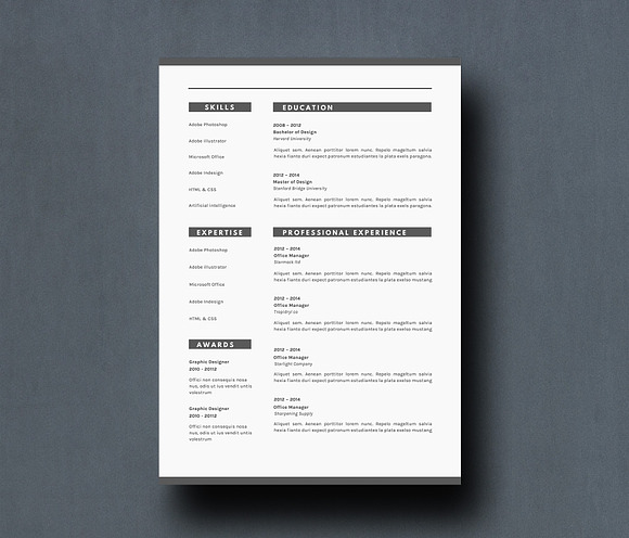 Resume Template - VW in Resume Templates - product preview 3