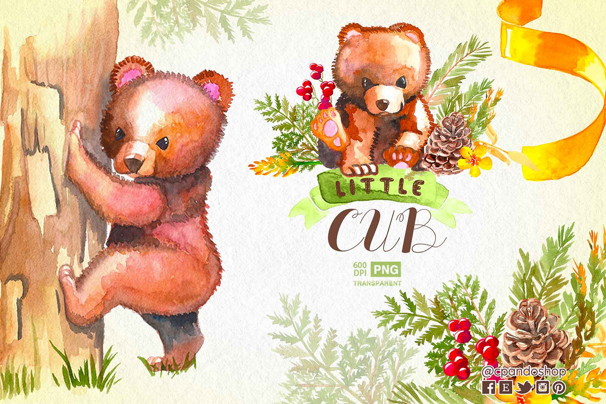 Cub Baby bear baby shower clipart in Illustrations - product preview 8