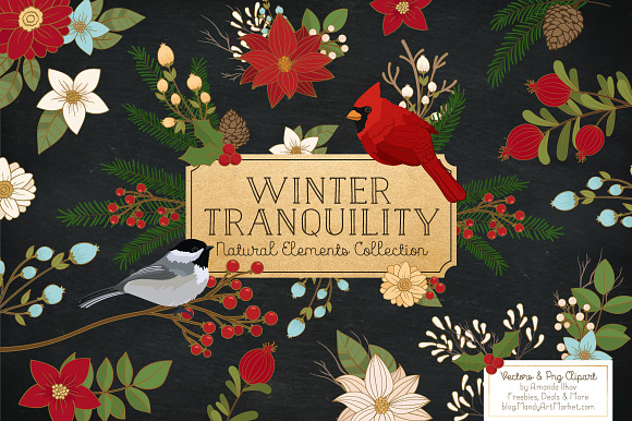 Christmas Birds & Flowers Vectors in Illustrations - product preview 1
