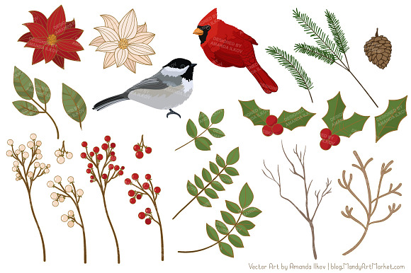 Christmas Birds & Flowers Vectors in Illustrations - product preview 3