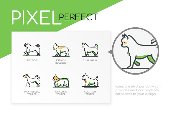 Dog Breeds Highlight Icons in Dog Icons - product preview 2