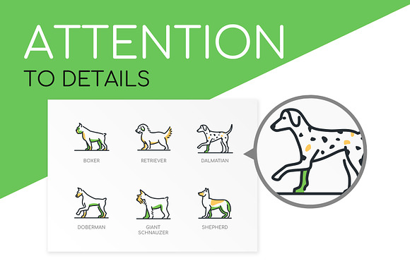 Dog Breeds Highlight Icons in Dog Icons - product preview 6